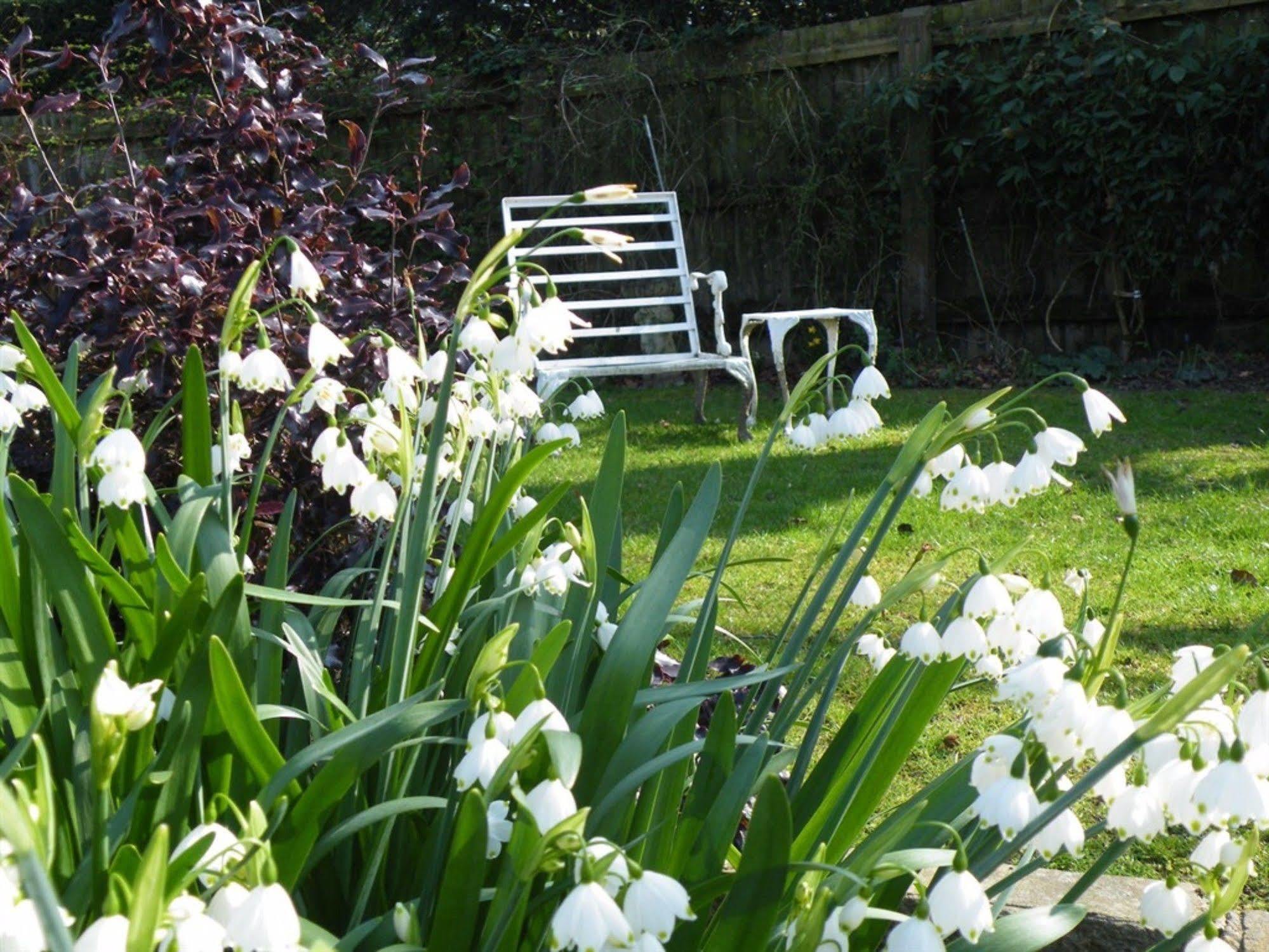 Broadlands Gate Bed & Breakfast Brockenhurst Exterior photo